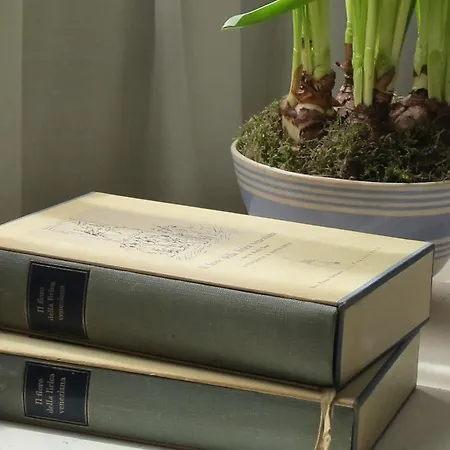 Daire Casa Fracasso *